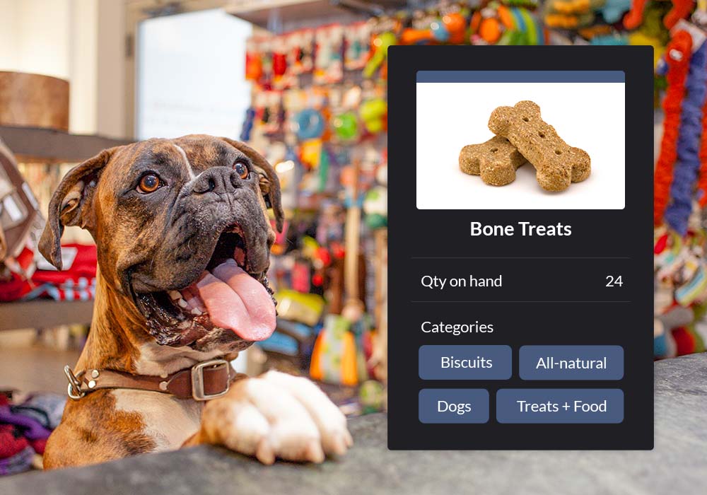 Watch shown on Lightspeed Retail's inventory management interface. Quantity on hand and product categories are shown below it. Dog is shown in background
